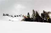 30 People On Skis Holding Hands Doing A Backflip