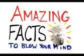 Amazing Facts To Blow Your Mind