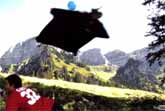 Best Wingsuit Flying