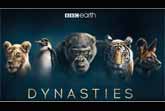 David Attenborough BBC Earth Nature Documentary 'Dynasties' - First Look