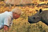 David Attenborough Meets a Baby Rhino