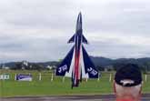 Delta Wing Jet Dancing On Its Tail