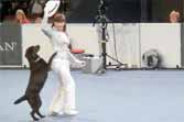 Dog Dancing World Championship Final (Salzburg 2012)