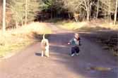 Dog Waits While Little Boy Plays In A Puddle