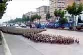 Duck Army Video Compilation