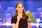 Echo The Singing And Talking Bird's Got Talent