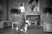 Eleanor Powell Dancing With Her Dog In "Lady Be Good"