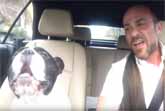 French Bulldog And His Owner Perform Duet Of Rihanna's �Diamonds�