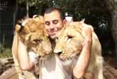 Cuddling With Lions