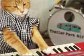 Keyboard Cat Returns - 96 Tears