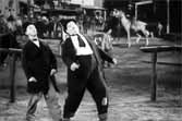 Laurel And Hardy Dance To The Rolling Stones