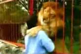 Lion's Reaction To The Woman Who Saved Him