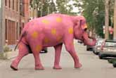 Pink Elephant Gag
