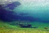 Scuba Diving Flooded Meadow