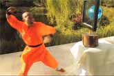 Shaolin Master - Needle Through Glass