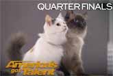 The Amazing Savitsky Cats - America's Got Talent 2018 Quarterfinals