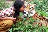Tiger And Man Are Best Friends