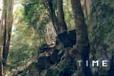 "TIME" - Tropfest Short Film Festival 2013 Finalist