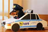 Wiener-Dog Police
